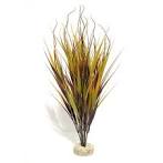 Sydeco Beauty Wild Plant