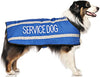 Service Dog Coat