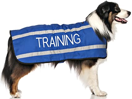 Training Coat