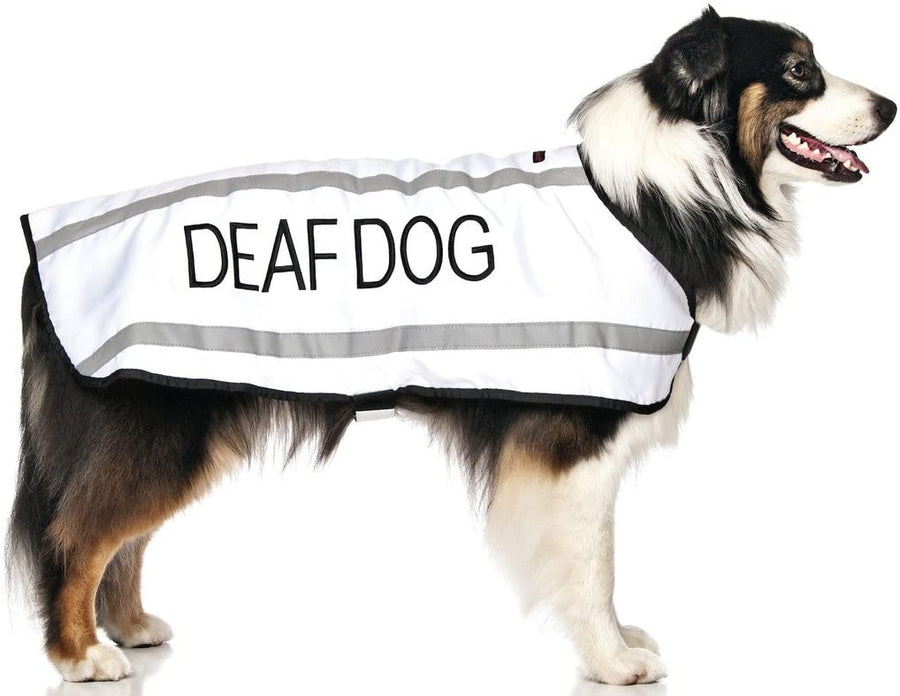 Deaf Dog Coat