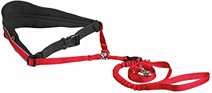Waist Belt with Leash for Small and Medium-Sized Dogs