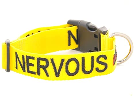 Nervous Snap Collar