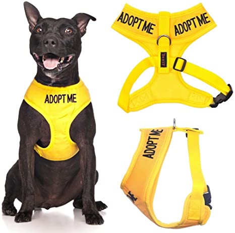 Adopt Me Vest Harness