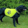 Safety vest for dogs XL