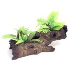 Wood & Plants Large 40x20cm - Decorations