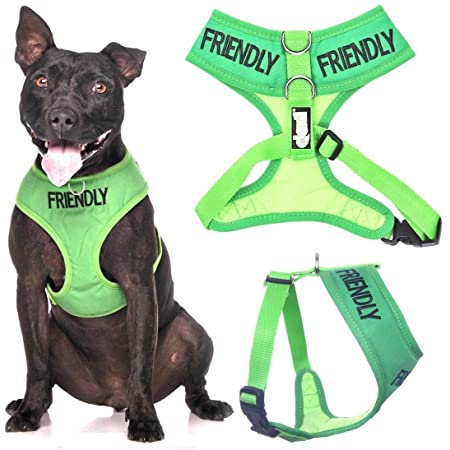 Friendly Vest Harness