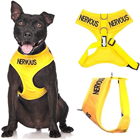 Nervous Vest Harness