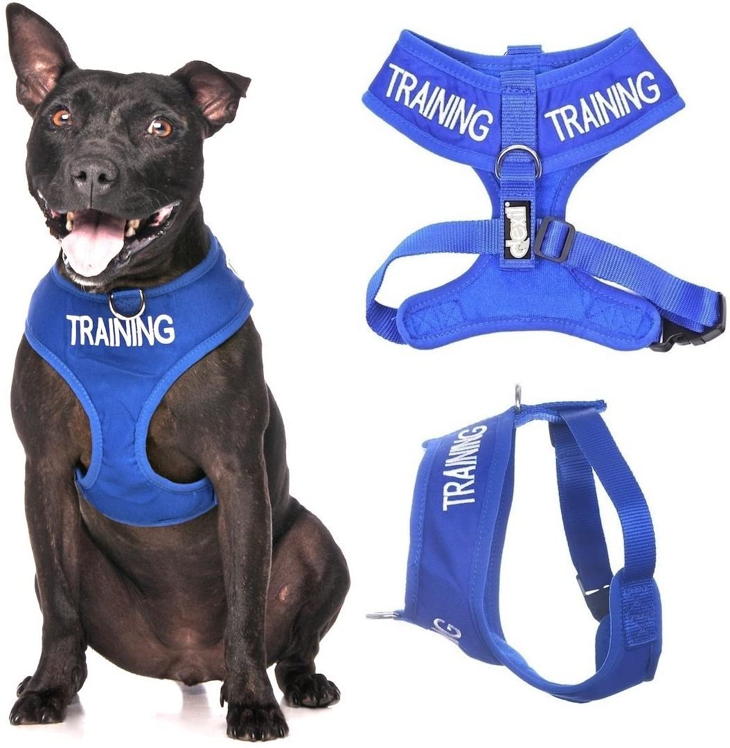 Training Vest Harness