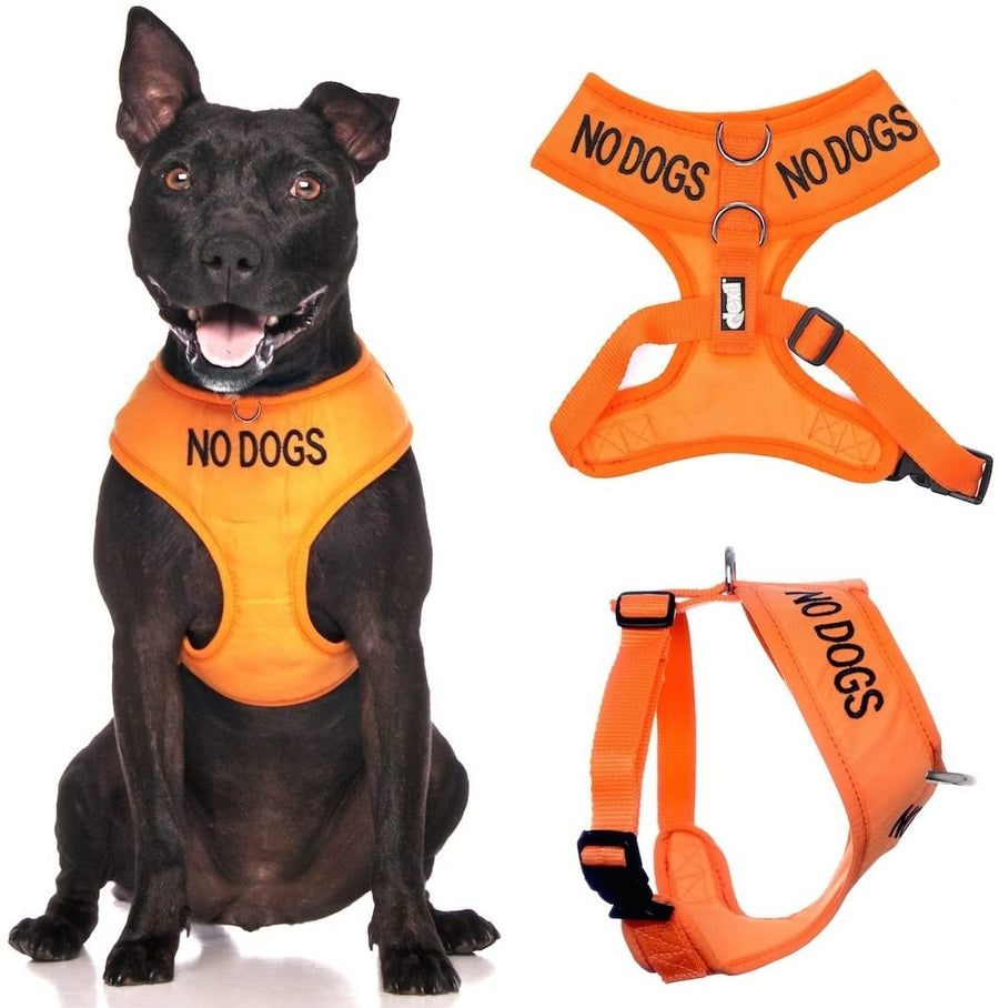 No Dogs Vest Harness