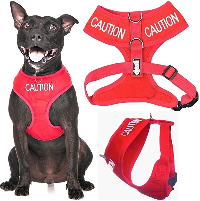 Caution Vest Harness