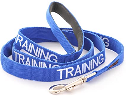 Training Lead