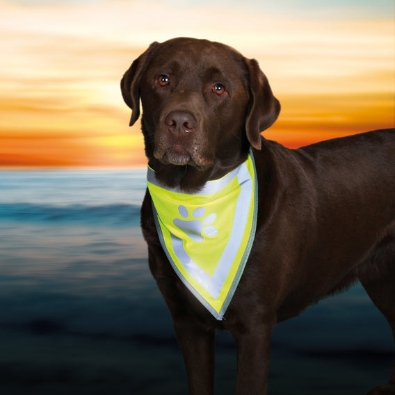 Safety Neckerchief Bandana