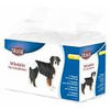 Diapers For Dogs 12 Pack XS–Small