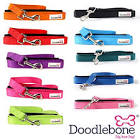 Doodlebone Padded Lead M Light Pink