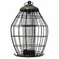 Peckish Secret Garden Squirrel Proof Peanut Feeder