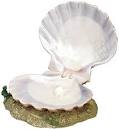 Shell 15 cm