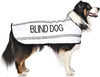 Blind Dog Coat