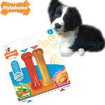 Nylabone Puppy Teething Chew Bone Twin Pack Veggies/chicken Small