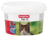 Top 10 Cat