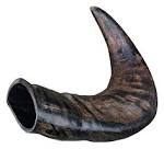 Genuine buffalo chewing horn medium