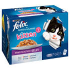 Felix Kitten Pouch AGAILCIJ 100g