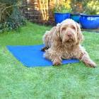 Pet Cool Mat Small