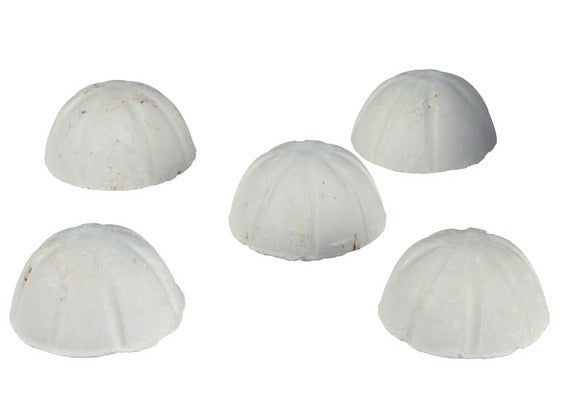 Weekend Fish Food, Feeds 10-15 Fish for 3 Days 5 x Pellets