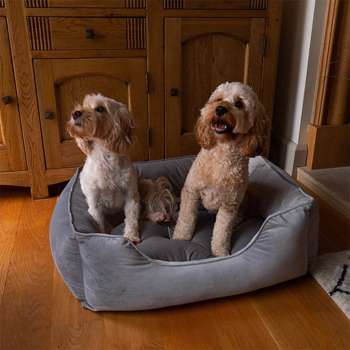 Luxury Silver Velvet Dog Bed