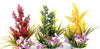 Sydeco Coloured Plants Paradise 28cm