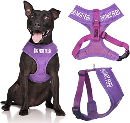 Do Not Feed Vest Harness