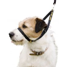 Canny Collar Black Size 7