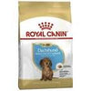 Royal Canin  Dachshund Junior 1.5Kg