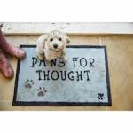 Howler & Scratch Thought 1 50cm x 75cm Nylon