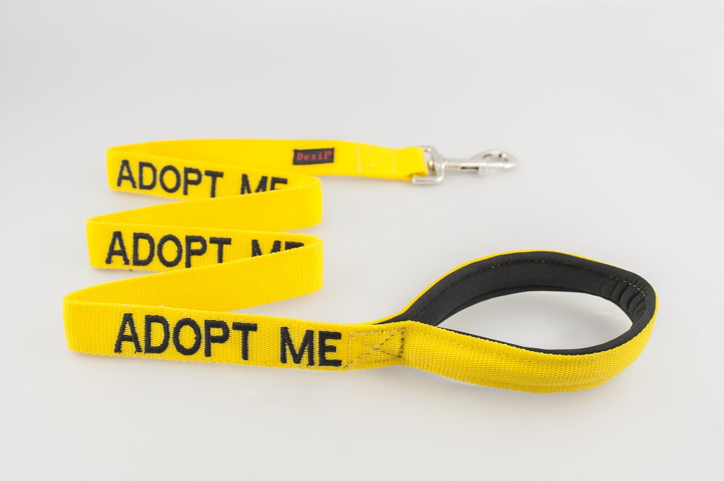 Adopt Me Lead