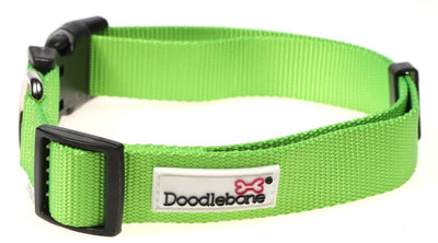 Doodlebone Originals Collar