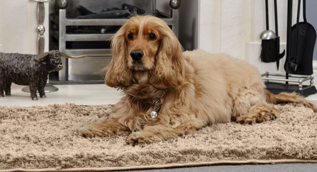 Snug Rug Brown 67 X 100cm