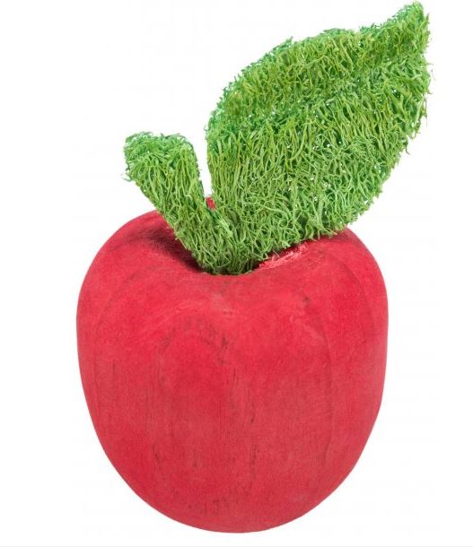 Trixie Wooden Apple Loofah 5.5 x 9cm