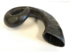 Buffalo Horn Large 451-750g