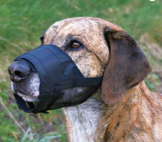 Muzzle with net insert, nylon M, black