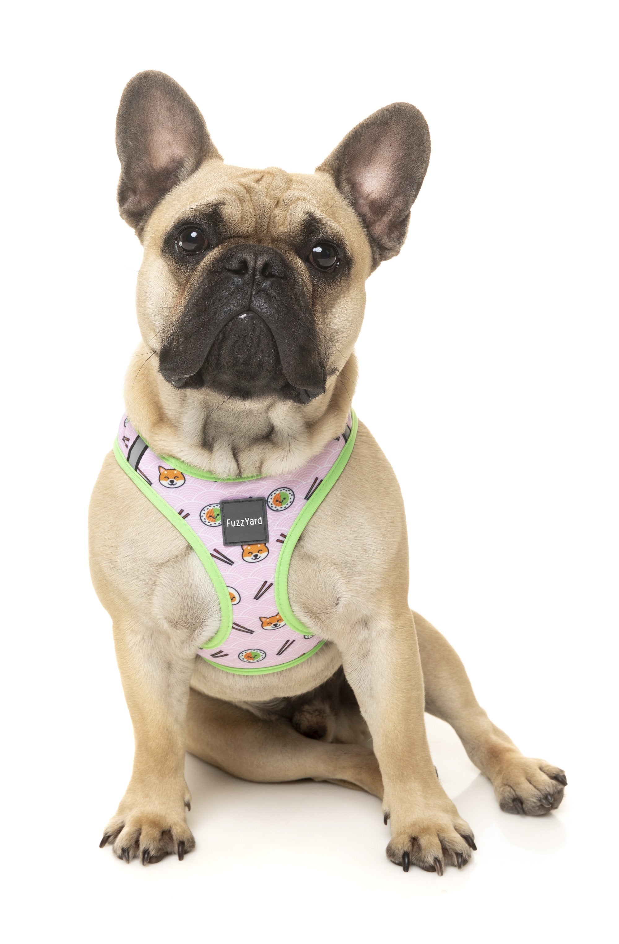 FuzzYard Step In Harness