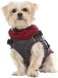 Hercules 2 in 1 Dog Jacket with Harness Carbon