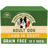 James Wellbeloved Lamb Grain Free Adult Pouches 100g