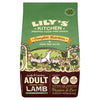 Lily's Kitchen Lamb Dry Dog Food Adult 12kg