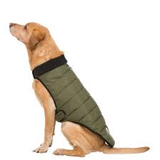 Lloyd Dog Puffer Jacket Khaki