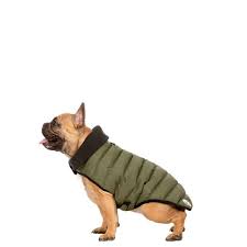 Lloyd Dog Puffer Jacket Khaki