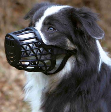 Muzzle, Plastic M 20cm, Black