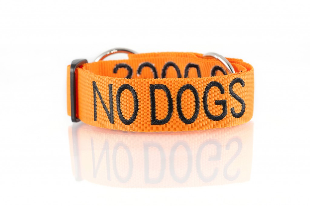 No Dogs Semi Choke Collar