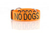 No Dogs Snap Collar