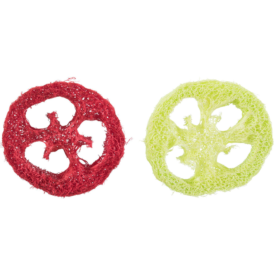 Set Of Loofah Discs 6cm
