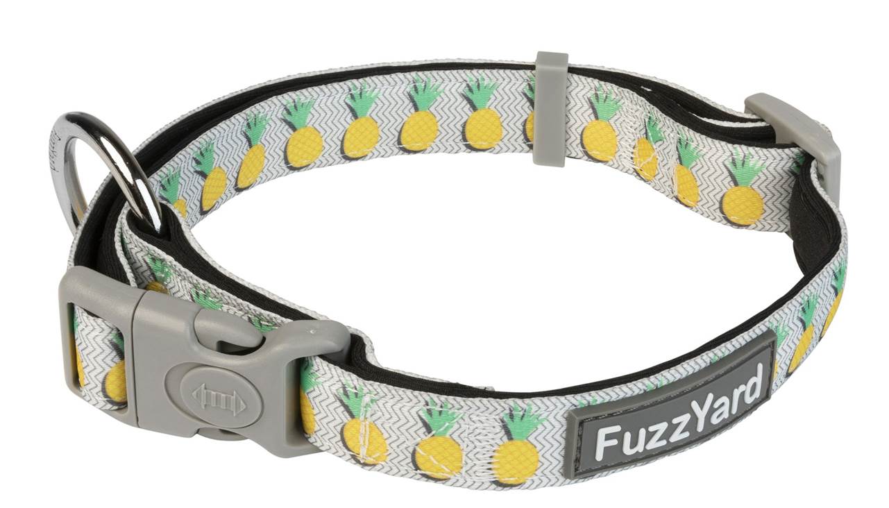 FuzzYard Dog Collar